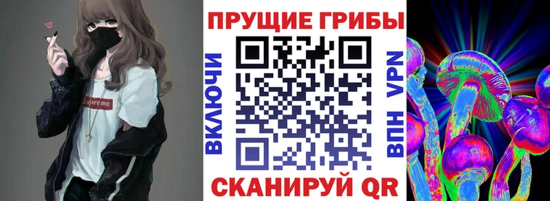 Псилоцибиновые грибы Psilocybe  Купить где  Усолье 